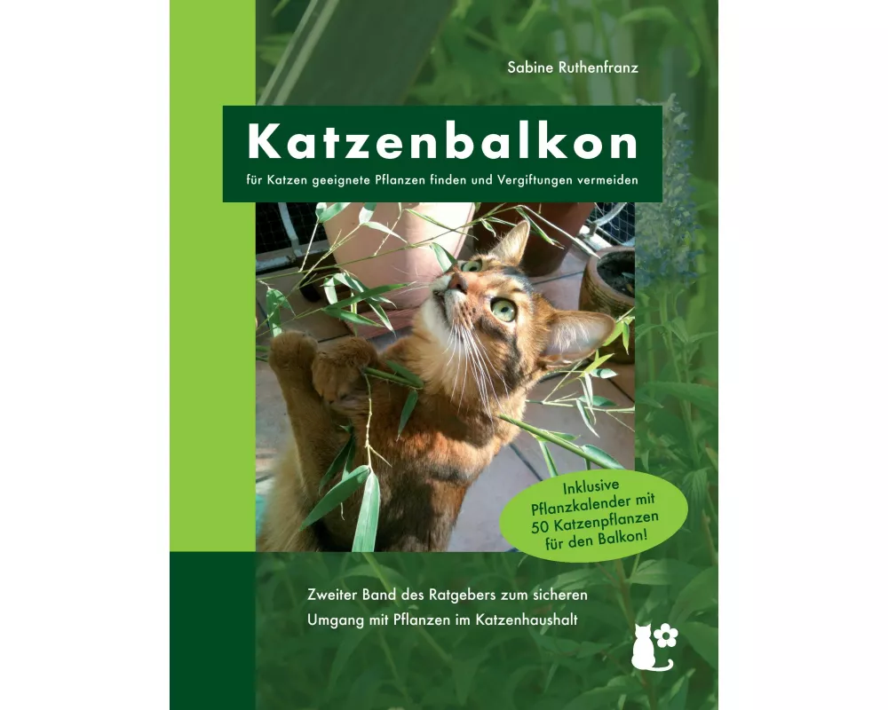 Katzenbalkon