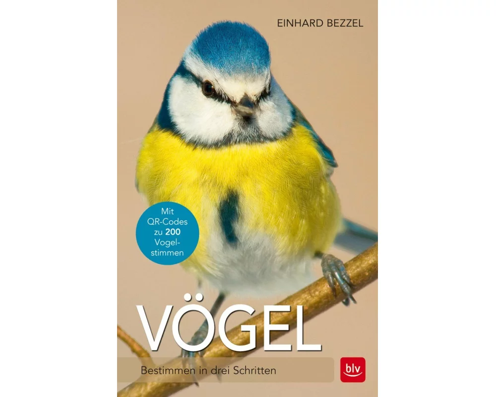 Vögel