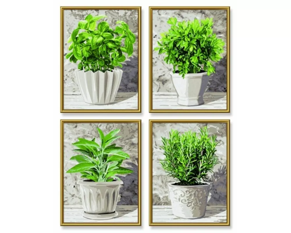 Schipper Malen nach Zahlen - Küchenkräuter (Quattro)