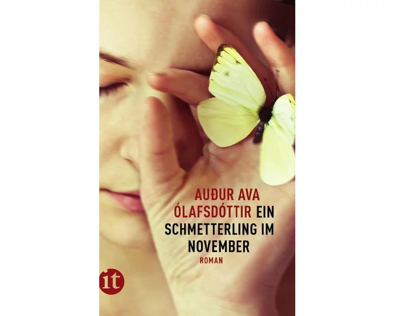 Ein Schmetterling im November