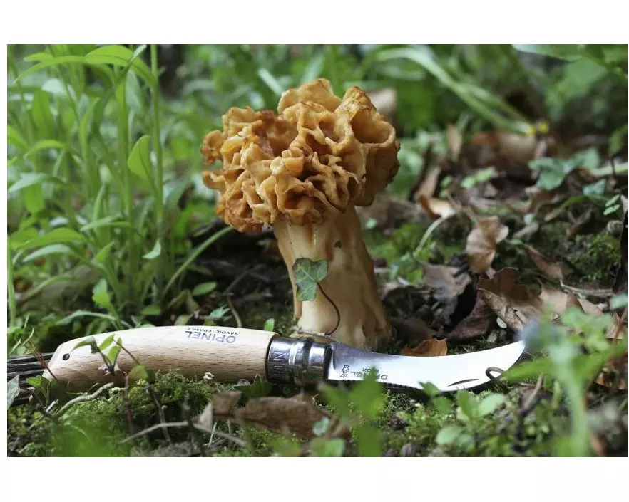 opinel Pilzmesser N°8 Beechwood