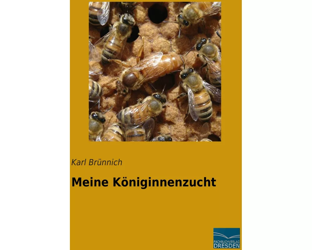 Meine Königinnenzucht