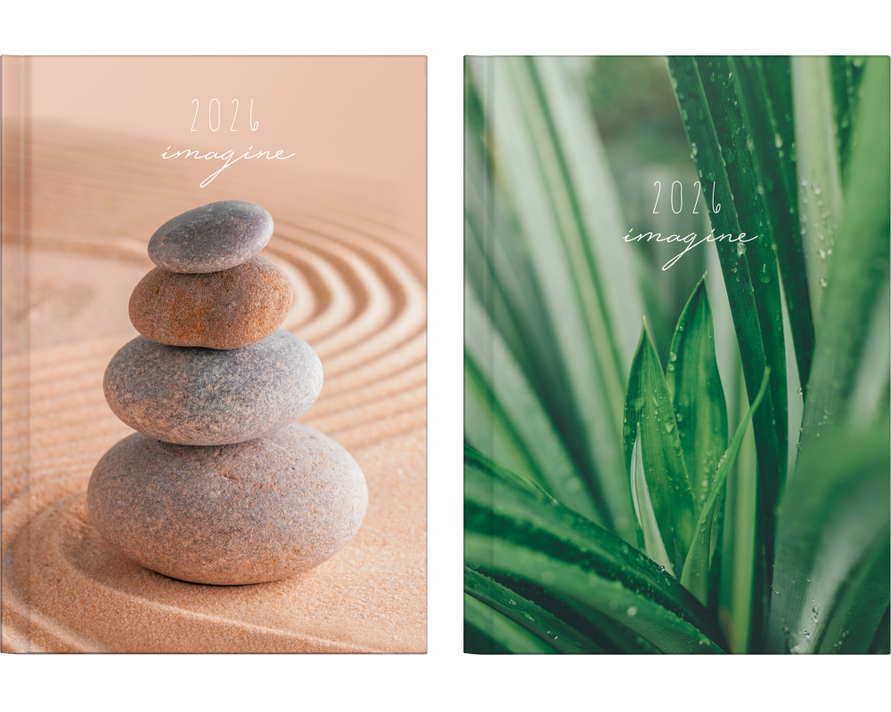 RIDOIDE Agenda Mentor Grafik 2026 7026037956.26 1T/1S assort. ML 14.8x20.8cm