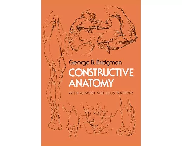 Constructive Anatomy