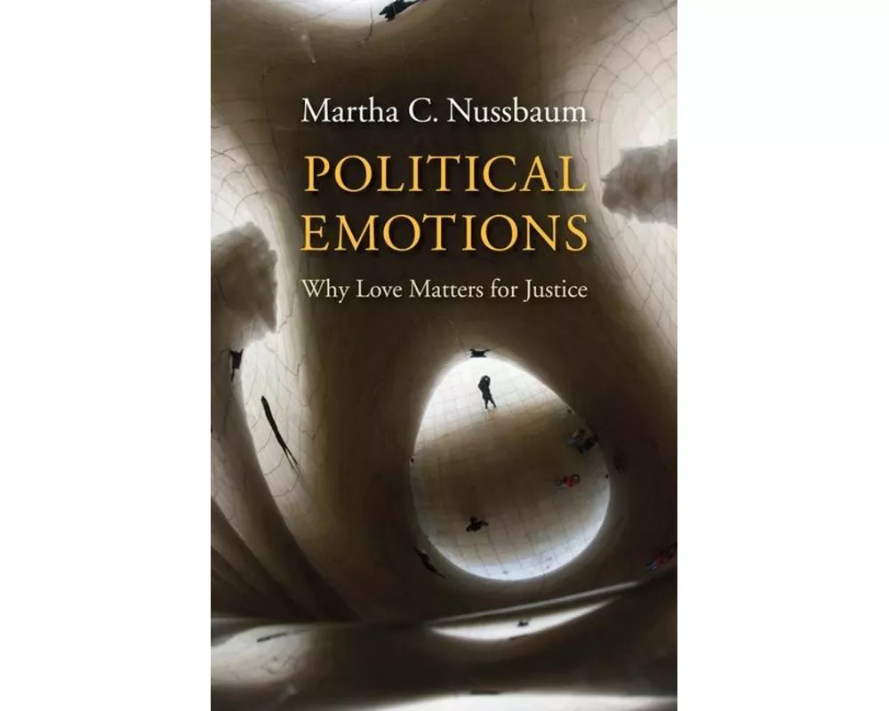 Political Emotions