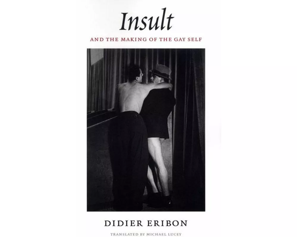 Insult and the Making of the Gay Self