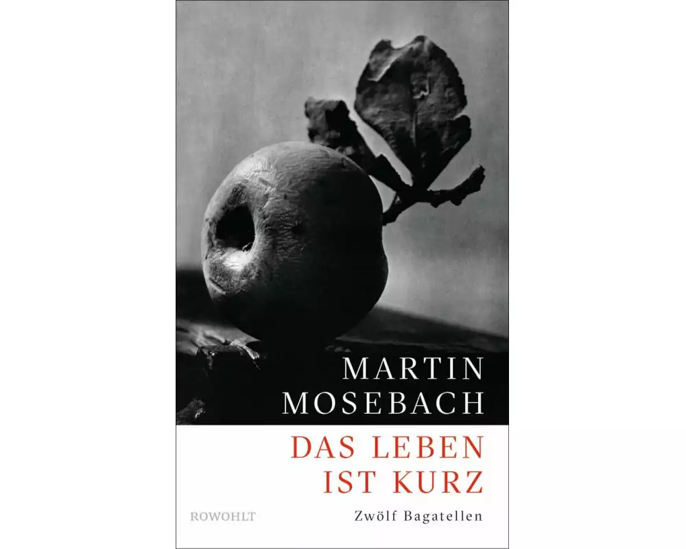 Das Leben ist kurz