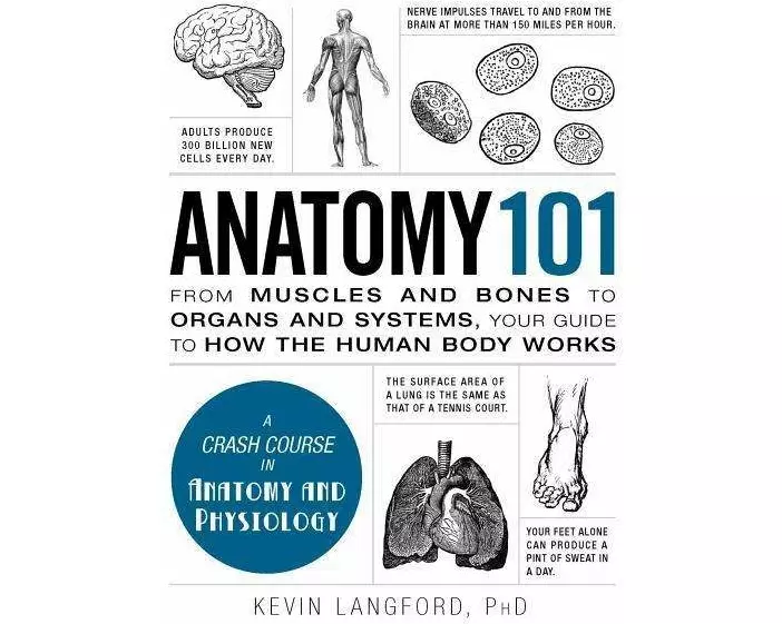 Anatomy 101