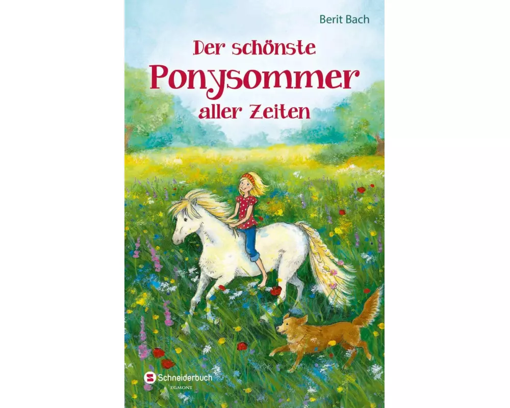 Der schönste Ponysommer aller Zeiten