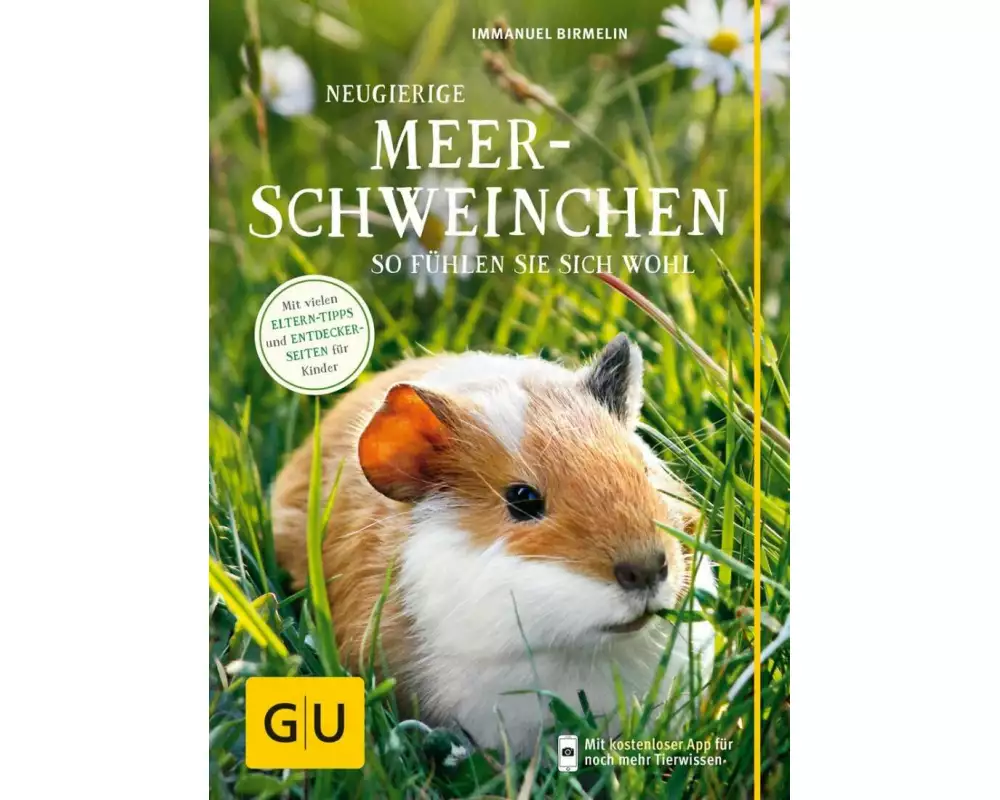 Neugierige Meerschweinchen