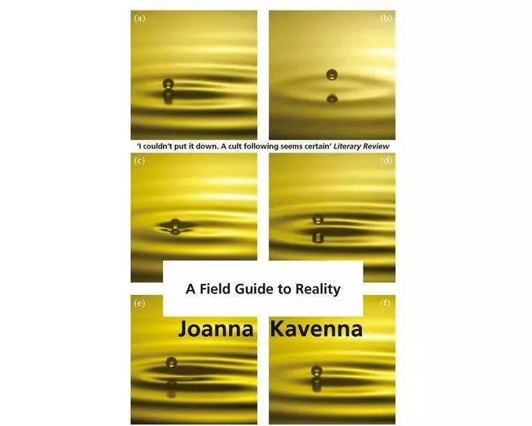 A Field Guide to Reality