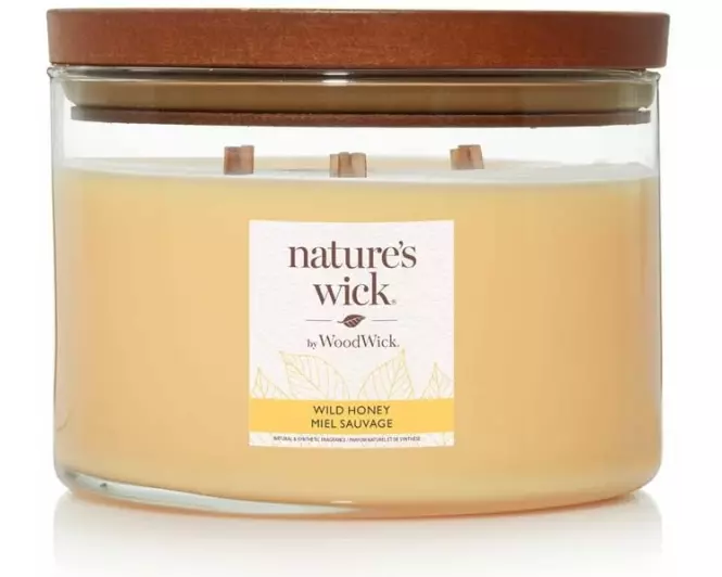 Woodwick Duftkerze Natures Wick Wild Honey Large Tumbler