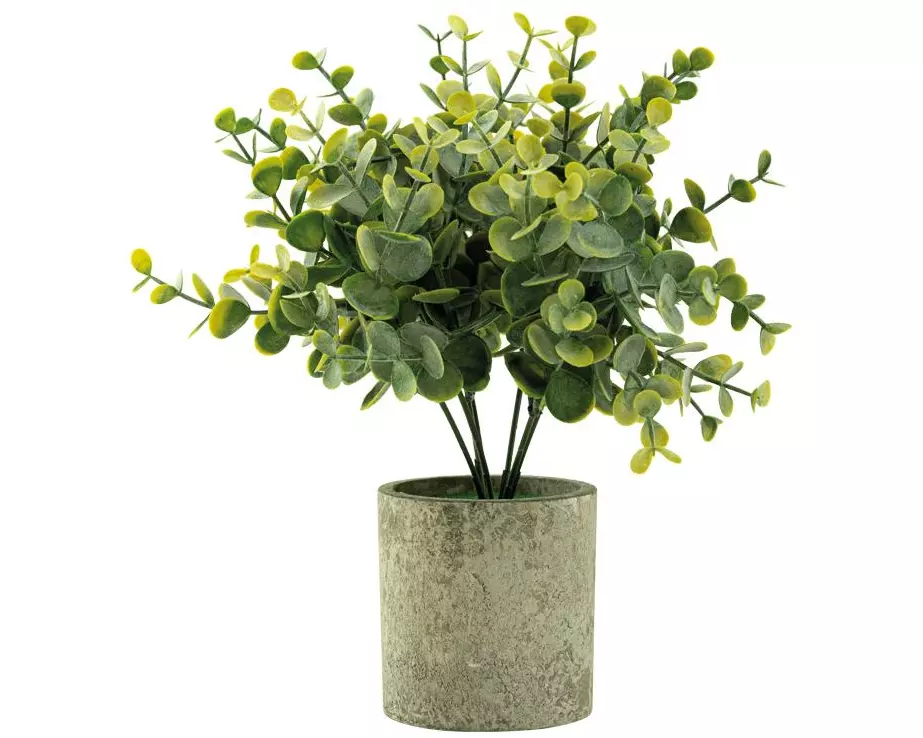 Dekomat AG Kunstpflanze Eucalyptus im Topf 24 cm