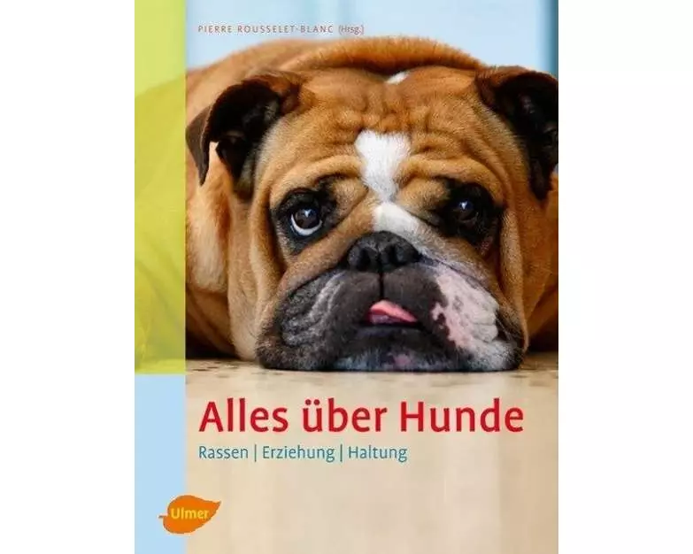 Alles über Hunde