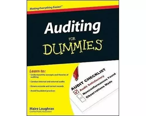 Auditing for Dummies
