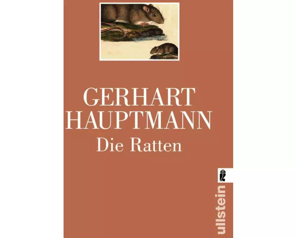 Die Ratten