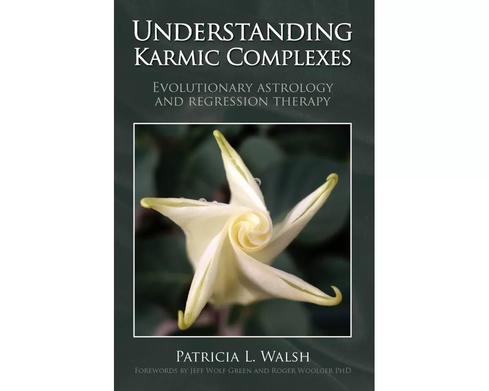 Understanding Karmic Complexes