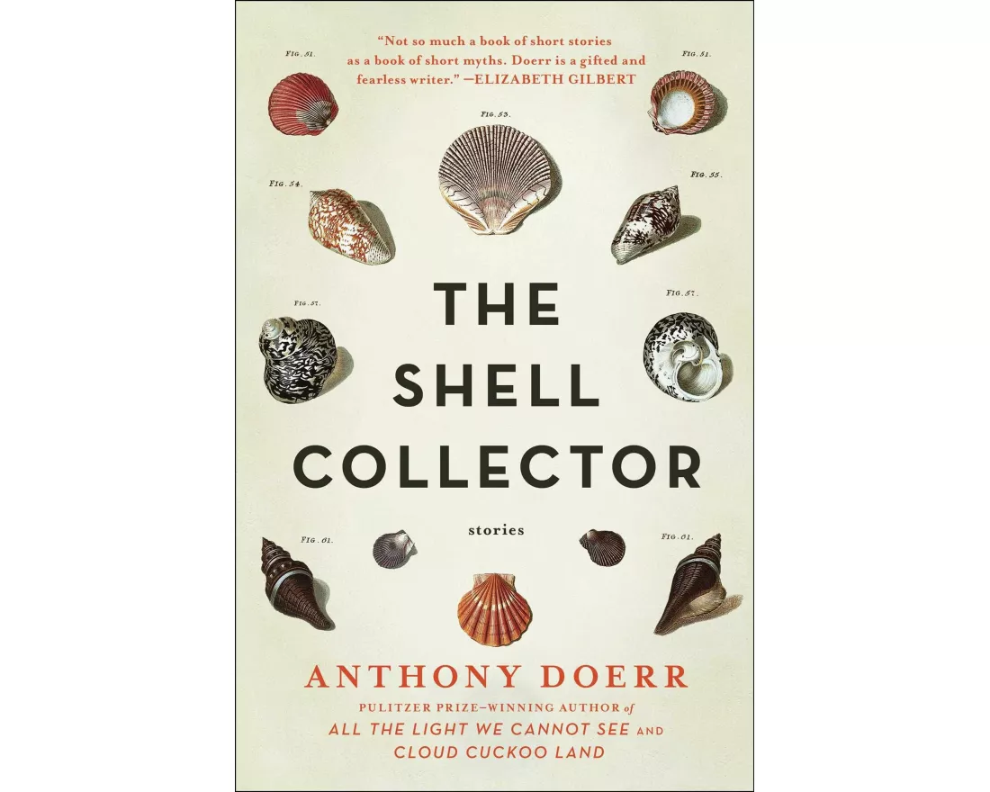 Shell Collector