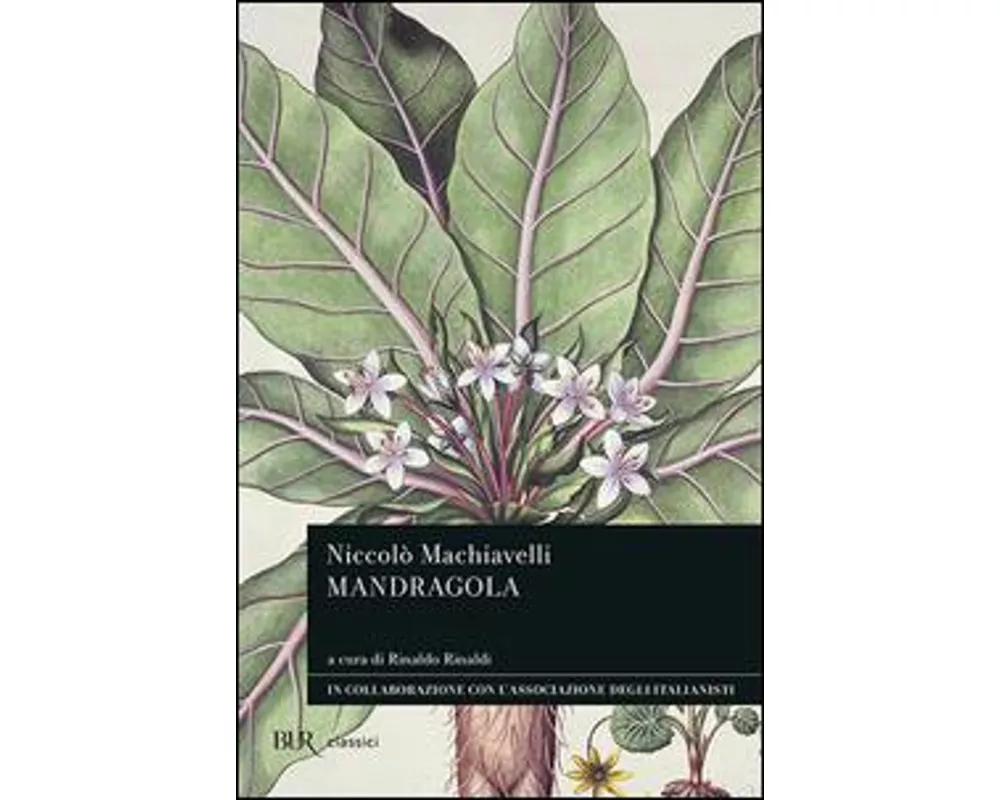 Mandragola