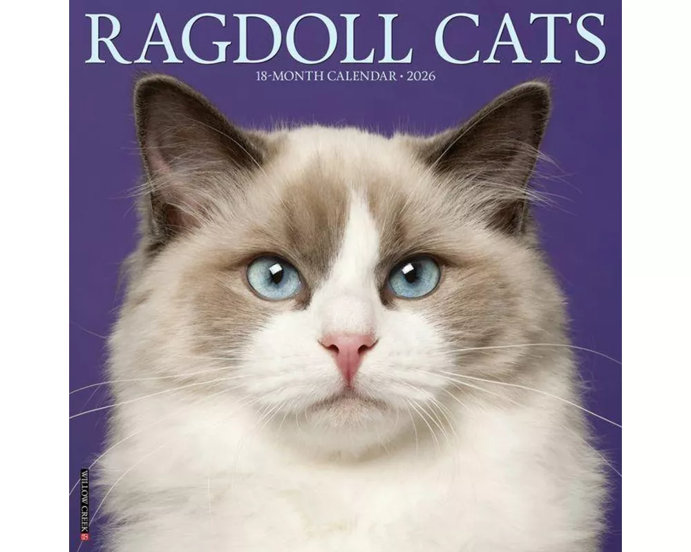 Ragdoll Cats 2026 Wall Calendar