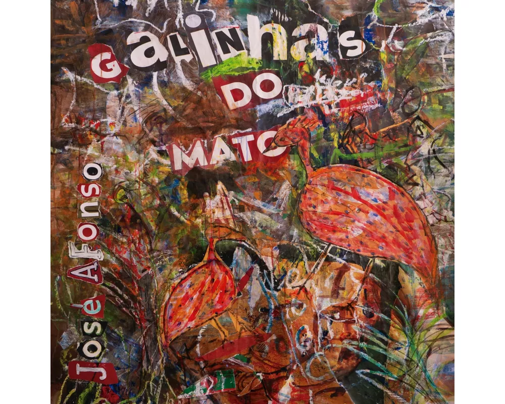 Galinhas do Mato
