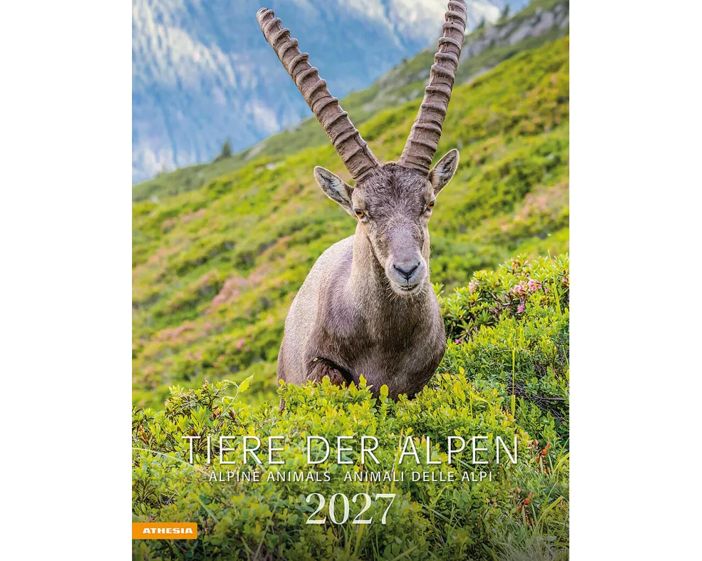 Tiere der Alpen - Kalender 2027