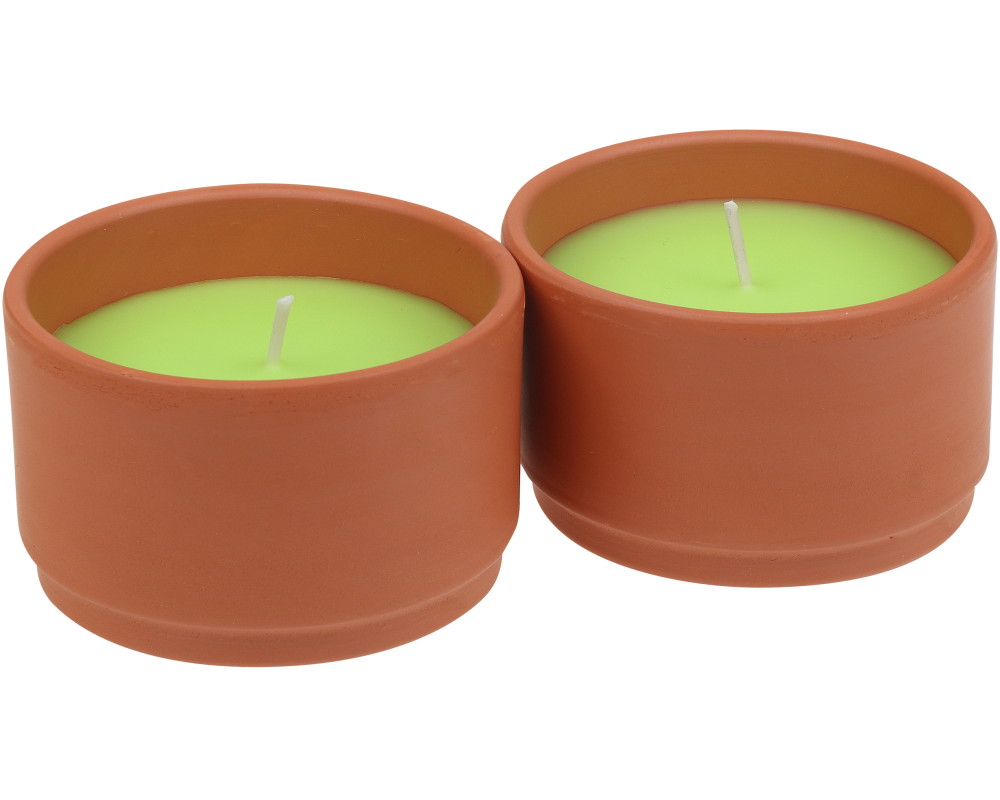 STEINHART Outdoor Kerze Terra 50x80mm 2043206000 limette 2 Stück