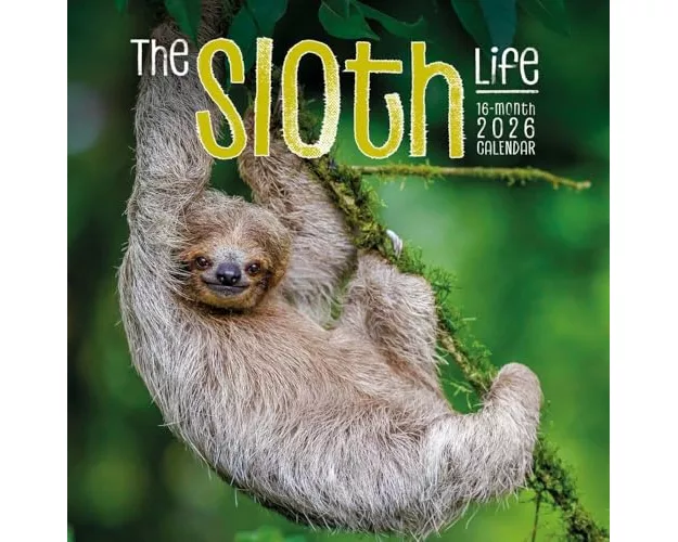 Sloths Square Wall Sunday Start Calendar