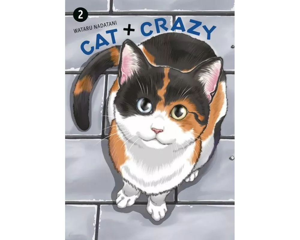 Cat + Crazy Volume 2