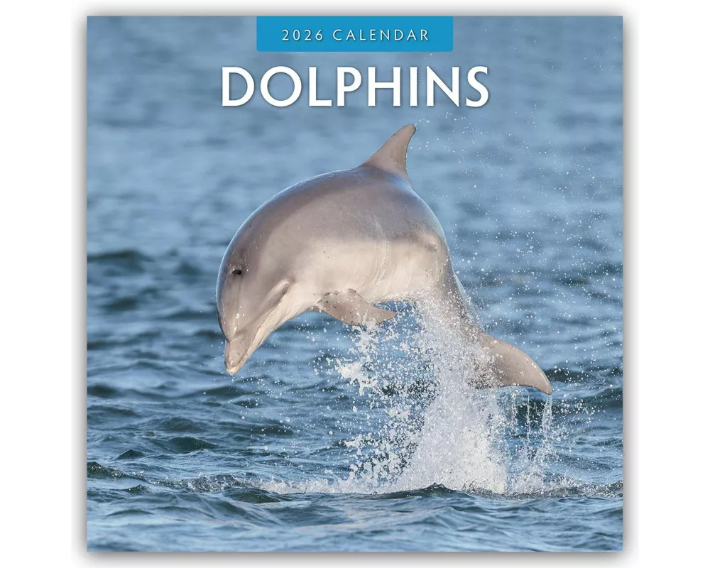 Dolphins 2026 Square Wall Calendar