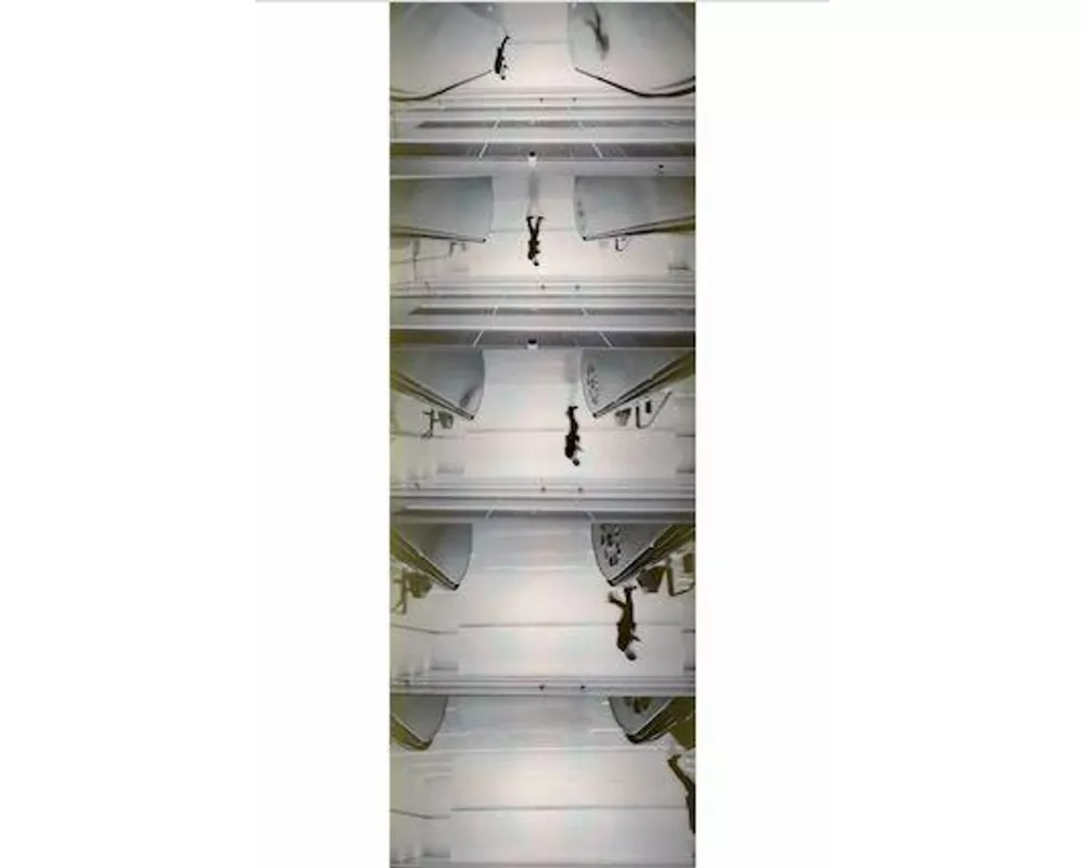 Peter Fischli. Addition, Subtraction, Multiplication