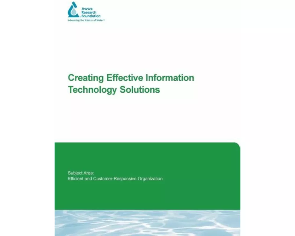 Creating Effective Information Technology Solutions