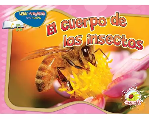 El cuerpo de los insectos