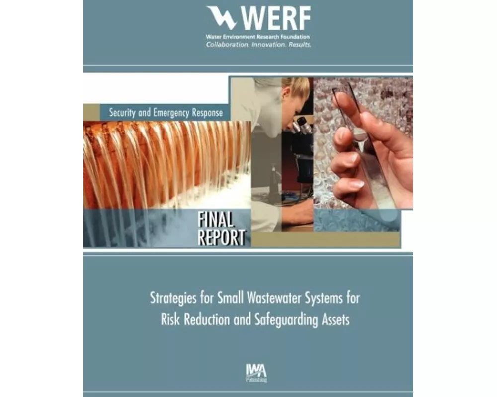 Strategies for Small Wastewater Systems for Risk Reduction and Safeguarding Assets