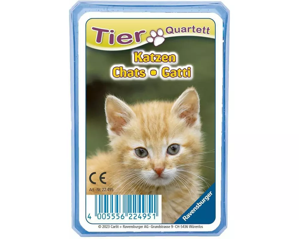 Quartett: Katzen