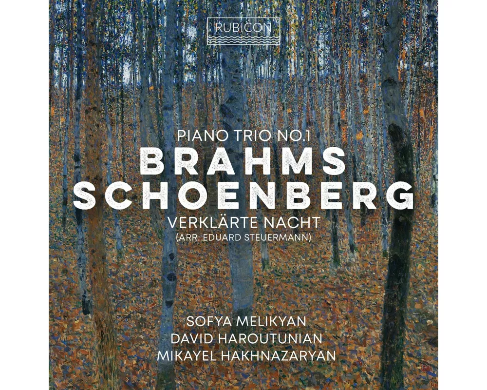 Brahms: Piano Trio No. 1 - Schoenberg: Verklärte N
