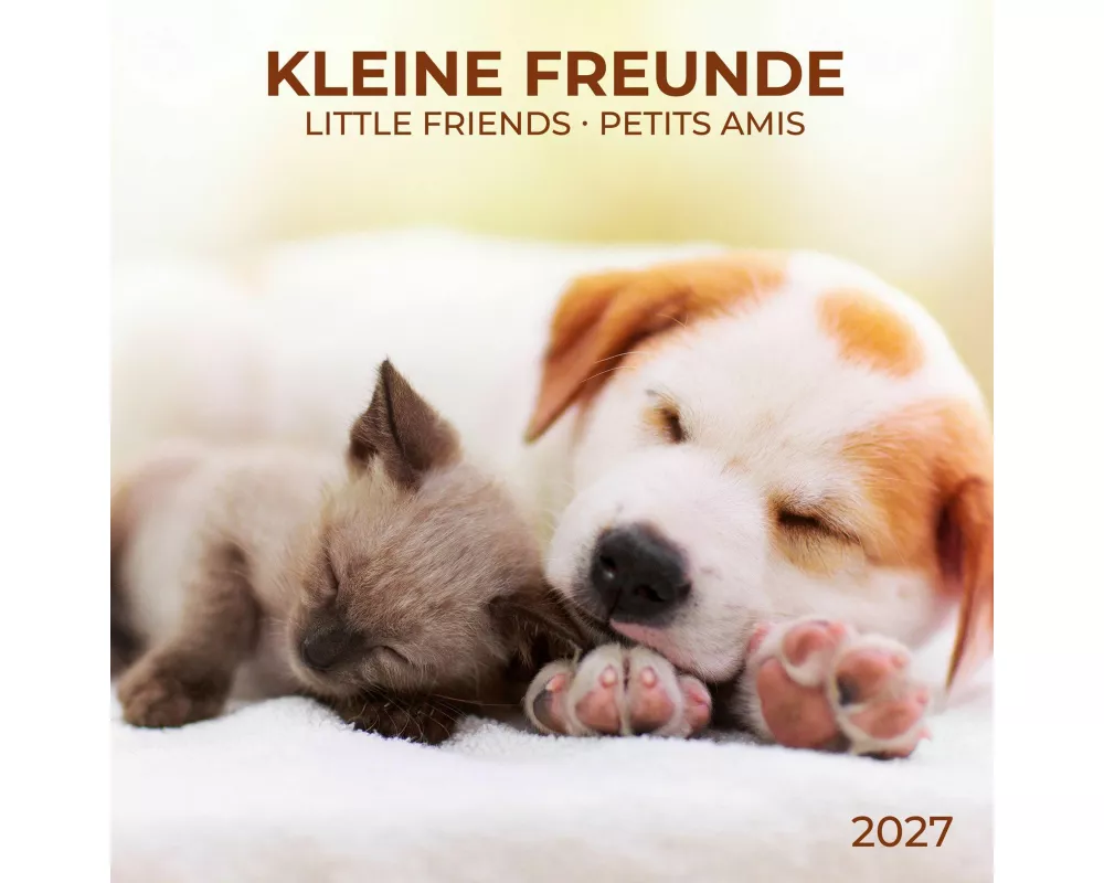 Kleine Freunde / Little Friends 2027