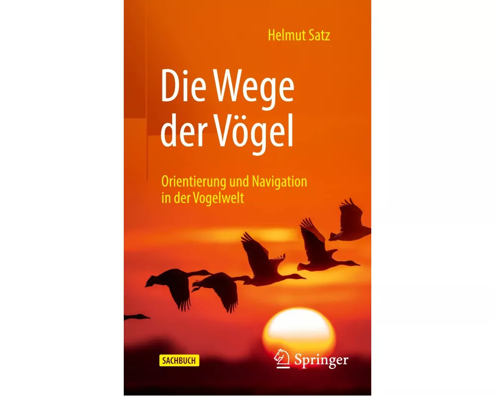 Die Wege der Vögel