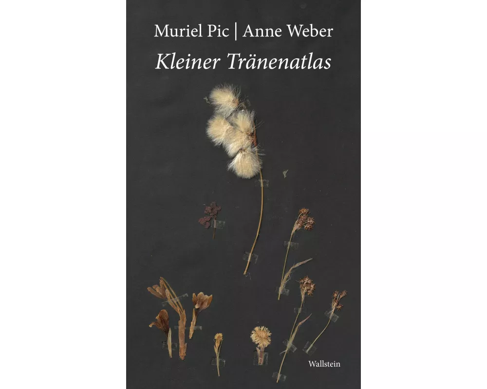 Kleiner Tränenatlas
