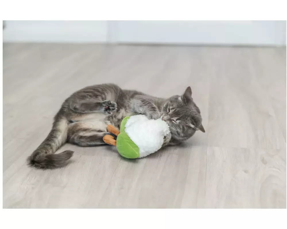 Trixie Blomkål XXL Plüschtier mit Katzenminze 18 cm