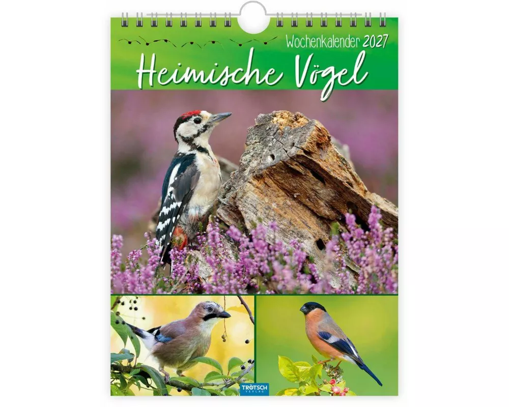 TRÖTSCH - Wochenkalender zum Hängen Heimische Vögel 2027
