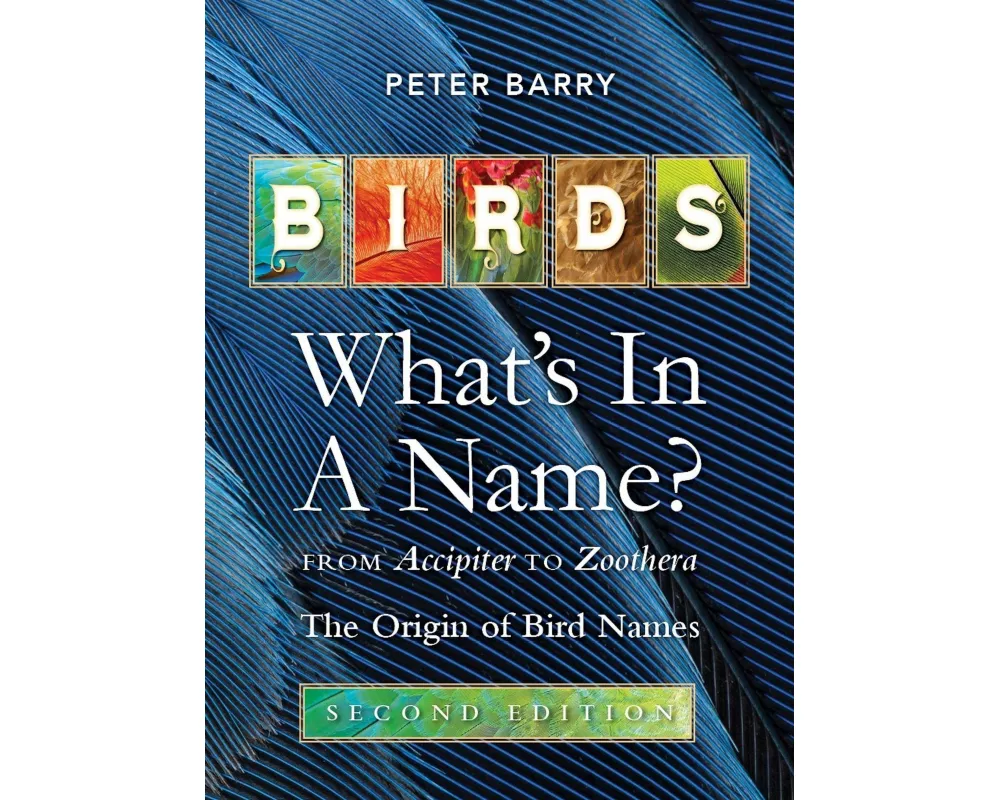 Birds: What's in a Name