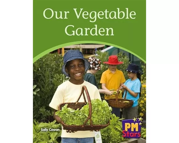 Our Vegetable Garden