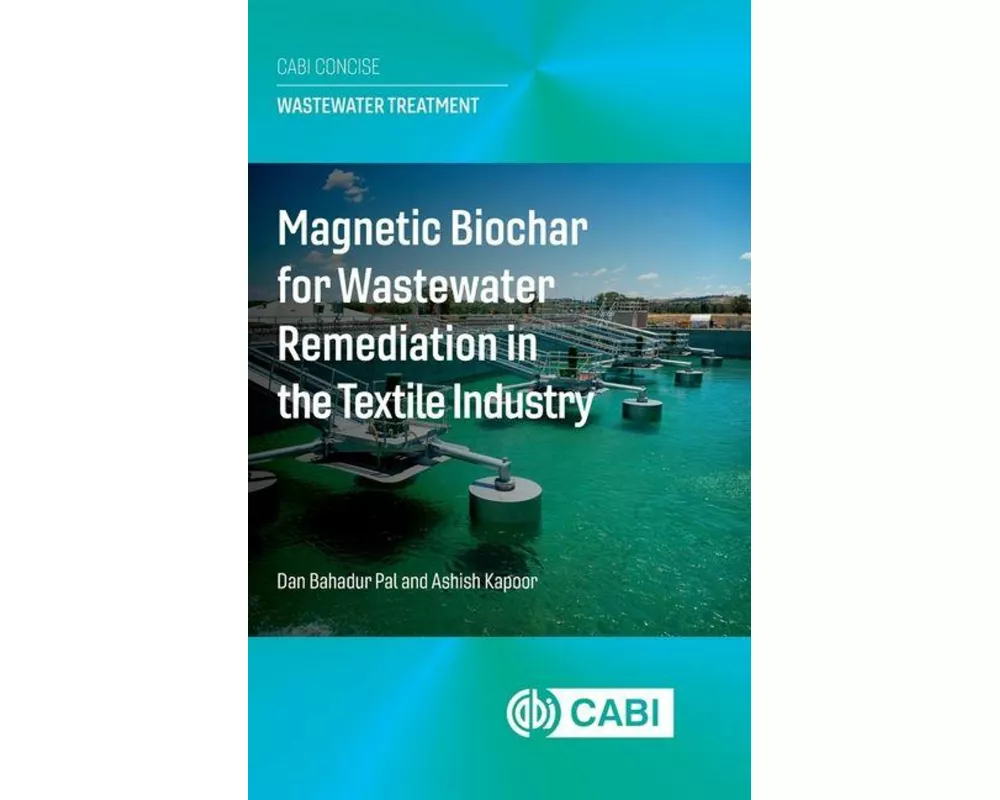 Magnetic Biochar for Wastewater Remediation in the Textile Industry