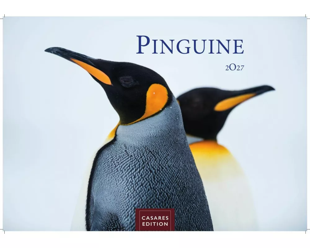 Pinguine Kalender 2027 - Wandkalender | Fotokalender Tierkalender 35x50cm Grosses Format | . mit niedlichen Pinguin-Motiven im antarktischen Lebensrau