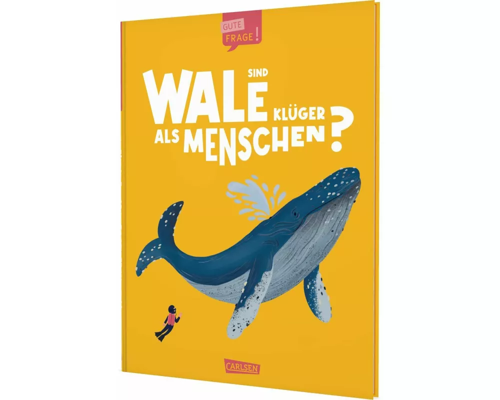 Sind Wale klüger als Menschen? (Gute Frage!)
