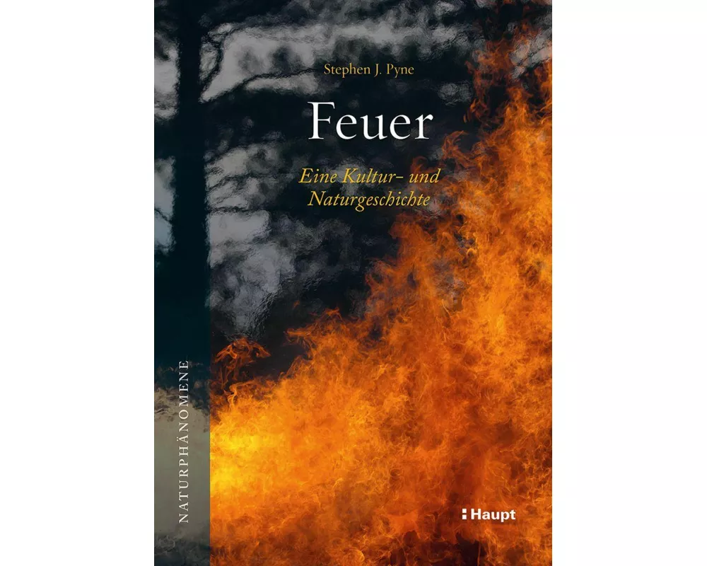 Feuer