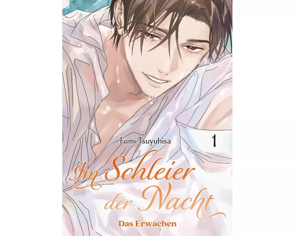 Im Schleier der Nacht: Das Erwachen 01 (Im Schleier der Nacht 03)