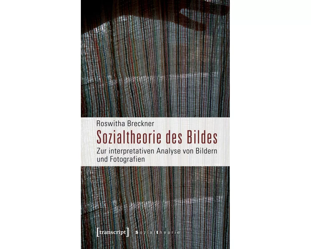 Sozialtheorie des Bildes