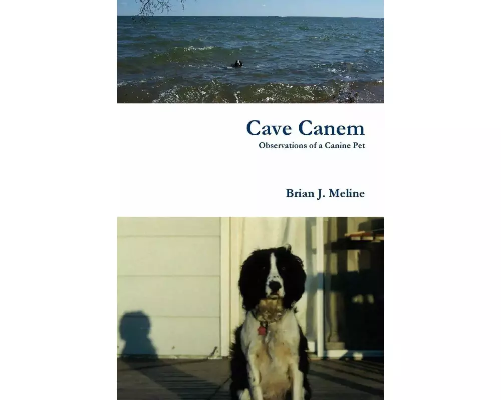 Cave Canem